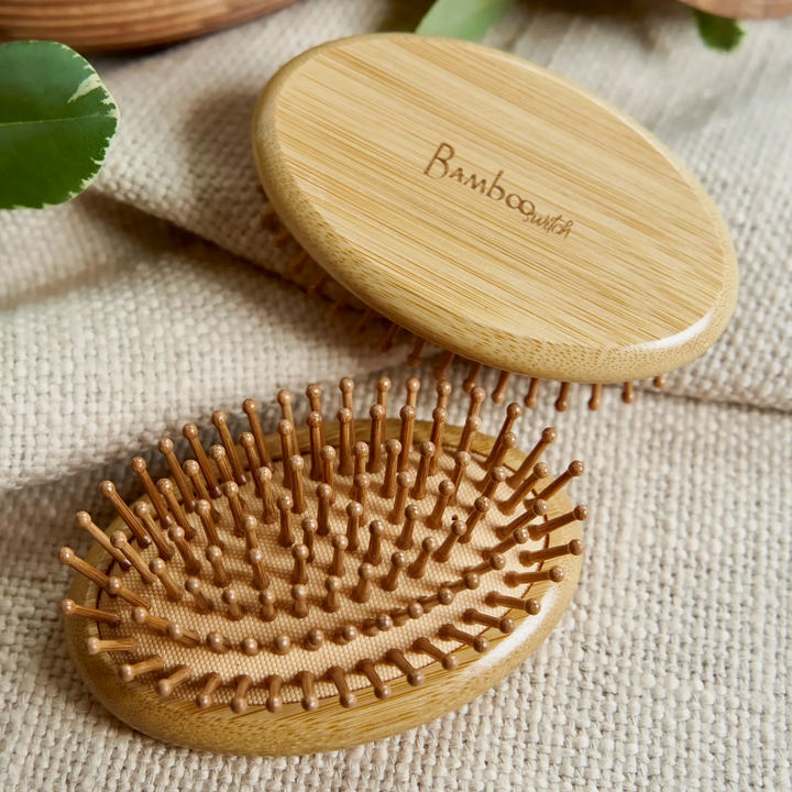Compact Travel Brush