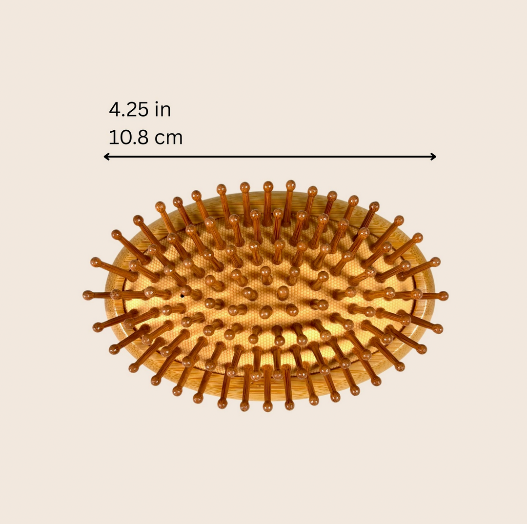 Compact Travel Brush